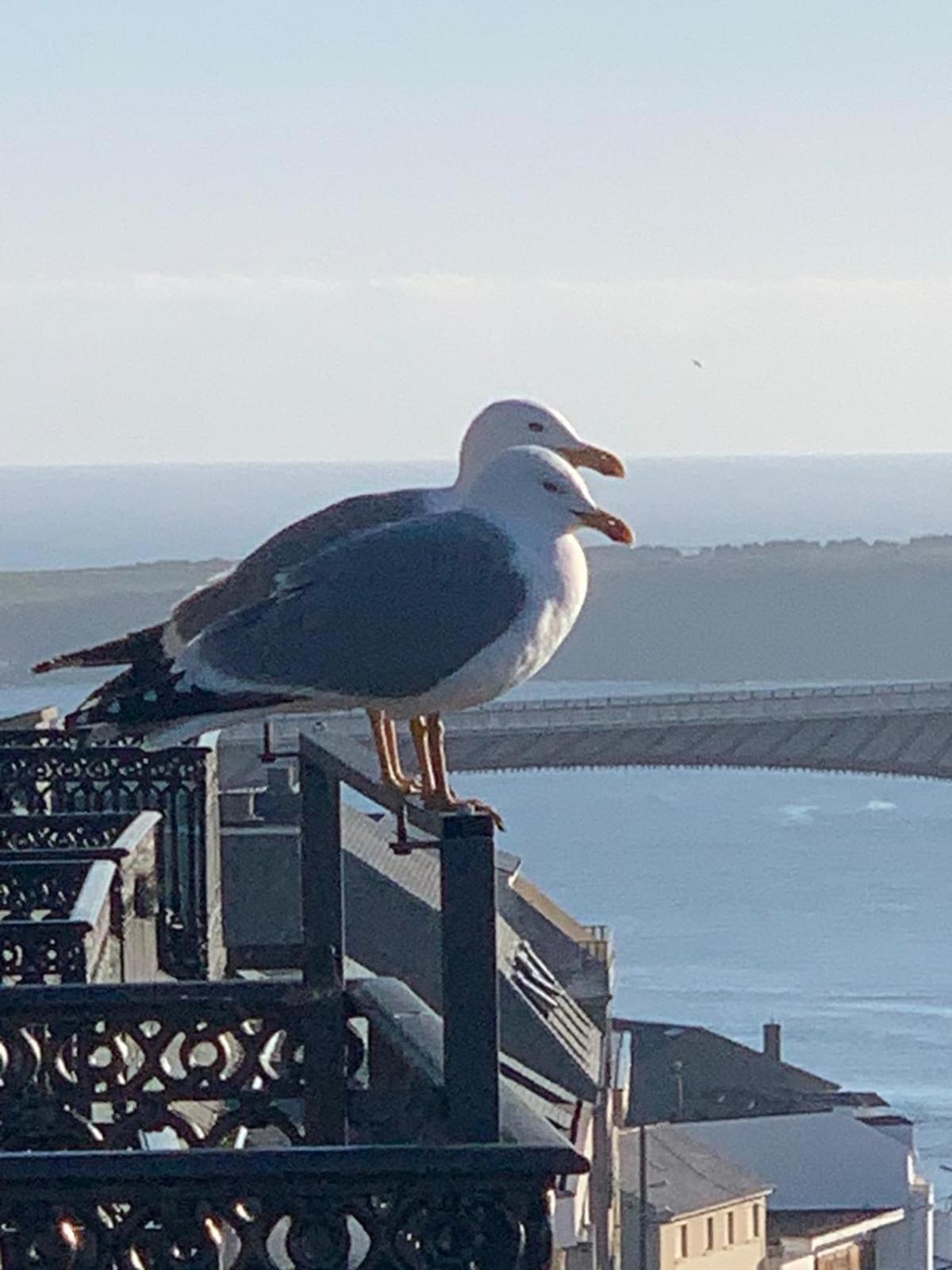 Moderno Piso Con La Mejor Terraza De Ribadeo Y Vistas Maravillosas Eksteriør billede